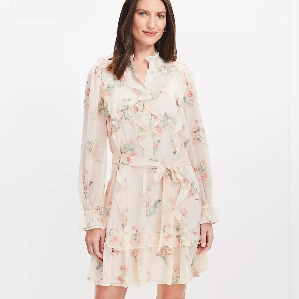 'LOFT' Peasant Style Swing Dress Ruffle  Long Sheer- Sleeve Tie-Waist